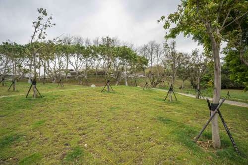 「詠生樹」佔地面積達1.1公頃，園內環境優美